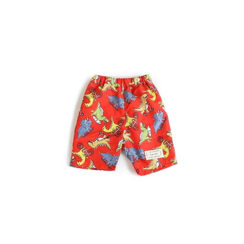 Escape Swim Shorts, Full Handle Swim Pants, Boys, red, 130