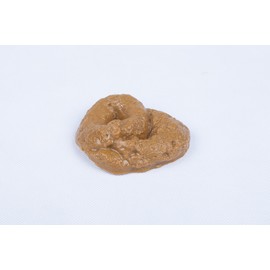 SummitLink Realistic Gross Party Pooper Fake Poo Dog Poop Novelty Toy Brown Birthday Prank Toy Novelty Gift Joke New