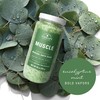 Village Naturals Therapy, Muscle Concentrated Mineral Bath Soak, Eucalyptus Mint