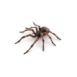 Papo - 50292 - Common Spider - Garden Animals - For Children - Suitable for Boys and Girls - From 3 Years