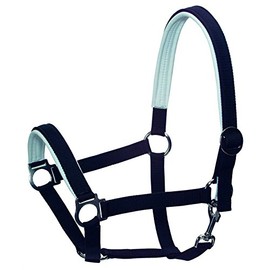 Padded Headcollar Thoroughbred Size 2