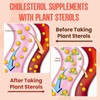 Cholesterol Supplement with Plant Sterols & Stanols, Guggul, Bergamot Orange