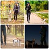 5 FT Strong Dog Leash with Comfortable Padded Handle and