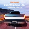 Tresound LED Tail Lights for Dodge Ram 1500 2007 2008,