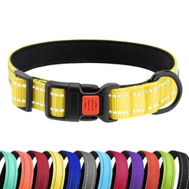 CollarDirect Reflective Dog Collar for a Small, Medium, Large Dog or Puppy with a Quick Release Buckle - Boy and Girl - Nylon Suitable for Swimming (14-18 Inch, Yellow)