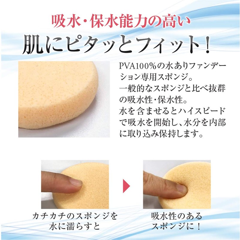 Foundation Sponge with Water for Summer Cake (Portable Case Included,