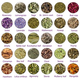 Witchcraft Supplies Herbs Kit for Witch Beginners - 30 Pack Different Dried Herbs for Wicca, Pagan and Wiccan Rituals, Altar Supplies, Magic Spells, Soap Making，with Metal Spoon