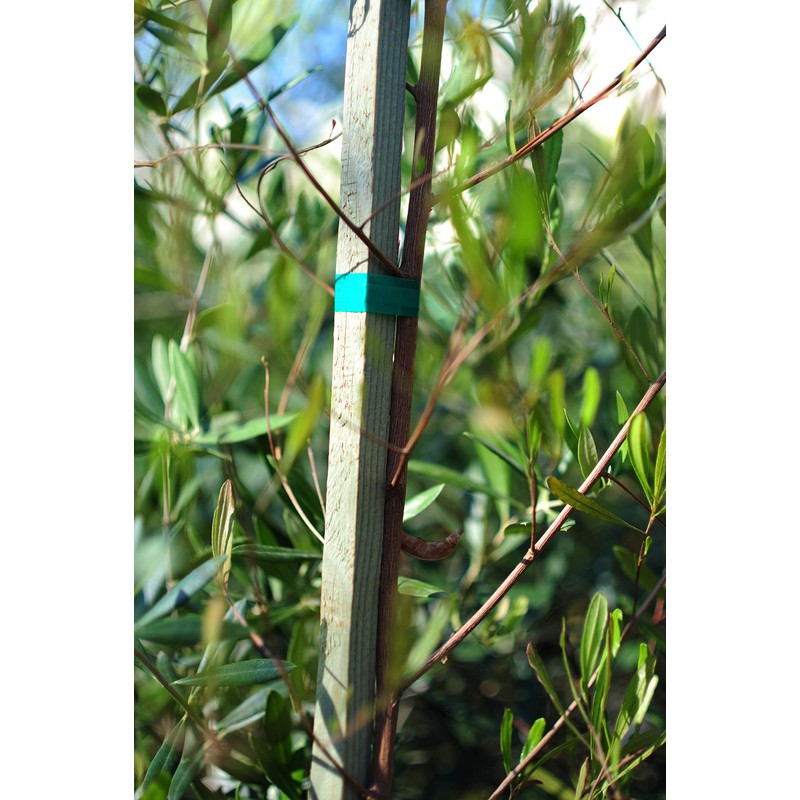 Bond Manufacturing 1151PDQ 1in x 150ft Tie Tape, No Size,