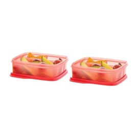 TupperwareSet Lunch It Container Set of 2 in Cozy Rosy