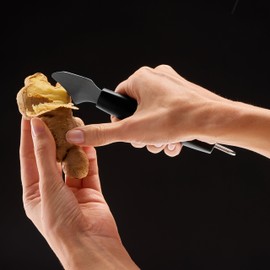 Lurch 230260 Tango Ginger Peeler, Stainless Steel, Black, 18.2 cm x 2.7 cm x 2.5 cm