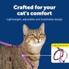 PetSafe Come with Me - Arnés de Gatito y Correa