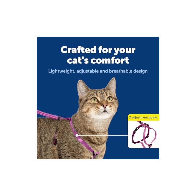 PetSafe Come with Me - Arnés de Gatito y Correa