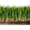 Water Storing Polymer Crystal Helps Prevent Plants Over and Under