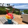 Hypothermias Vanilla Ready to Use Gallon (128 Fl. Oz) Hawaiian