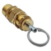 Adjustable Safety Valve 1/4 Inch 8-12 Bar (Not Component Tested)
