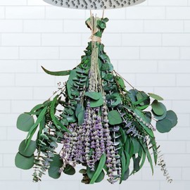 beerfingo 26 PCS Mix Dried Eucalyptus & Lavender Flowers Bundles for Shower, 17'' Natural Real Hanging Silver Dollar Eucalyptus Leaves Stem, Fresh Shower Plants, Fragrance, Wedding Decor