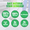Carpet Details Carpet Cleaner Spray- Safe Natural Mineral Based Carpet