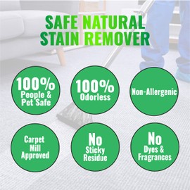 Carpet Details Carpet Cleaner Spray- Safe Natural Mineral Based Carpet Cleaner Solution- Use on Tile, Grout, Laminate and Wood Floors, and Carpet- Perfect Pet Carpet Cleaner- 32 ounce- Made in the USA