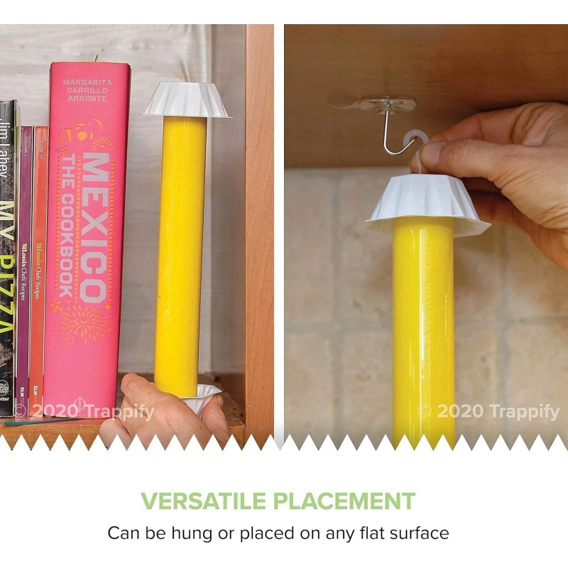 Trappify Hanging Fly Traps Outdoor Fruit Fly Traps for Indoors