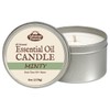 Fabulous Frannie Minty All-Natural Soy Candles Cotton Wick High Pure