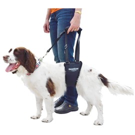 GINGERLEAD Dog Support & Rehab Sling Harnesses – Padded Lifting Aid with Leash for Comfort & Control to Assist Old / Disabled Pets, Safely Recover from Knee / TPLO, Hip or Back Surgery. Made in U.S.A.