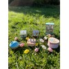 Trousselier Peter Rabbit Music Box, Wood, Pink, 13 x 7