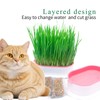 NEKOSEKO Cat Grass Hydroponics,Can Be Used Three Times, Indoor Soilless
