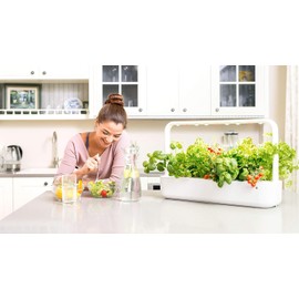 Click and Grow Smart Garden Mini Tomato Plant Pods, 3-Pack