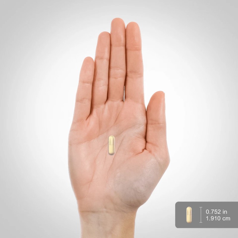 Bitter Melon Capsules | 1200mg | 200 Count | Non-GMO