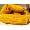Seeds Sugar Sweet Corn Heirloom Vegetable for Planting Non GMO