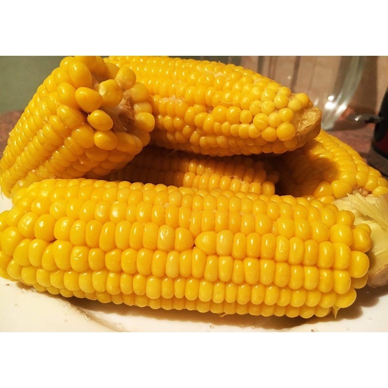 Seeds Sugar Sweet Corn Heirloom Vegetable for Planting Non GMO
