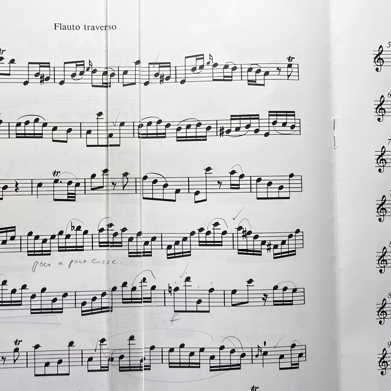 Music Stand Clips 6 Pcs, Clear Acrylic Music Book Page