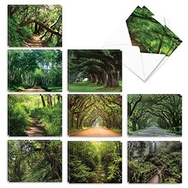 The Best Card Company - 20 Landscape Nature Note Cards Blank (4 x 5.12 Inch) (10 Designs, 2 Each) - Nature Trails AM6467OCB-B2x10