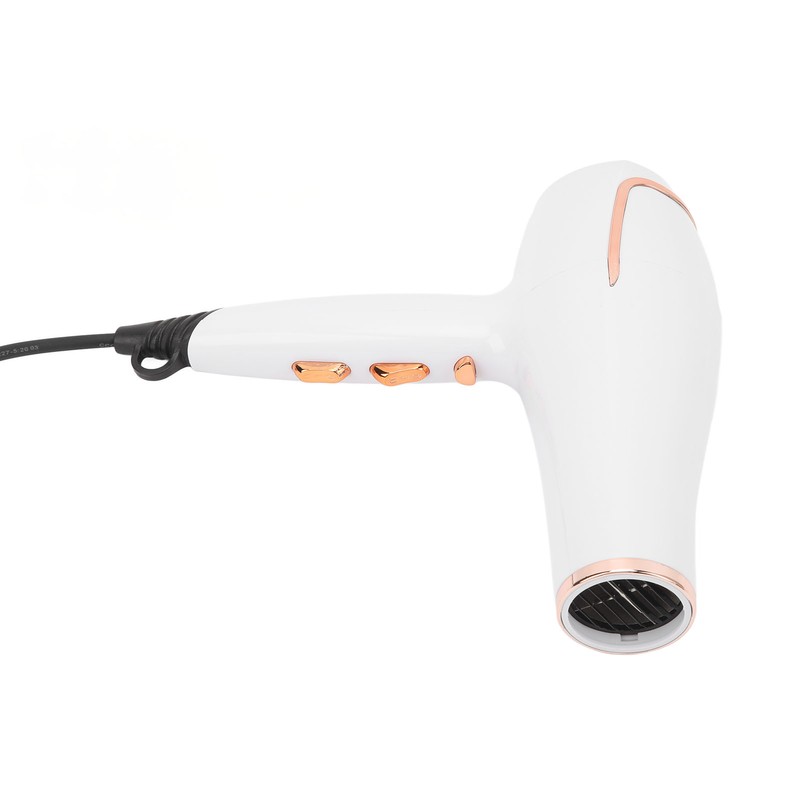 Electric Hair Dryer Adjust Temperature Wind Speed Blow Dryer Hair