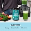Superalimento Orgánico Ancient Nutrition SuperGreens con Probióticos y Enzimas en