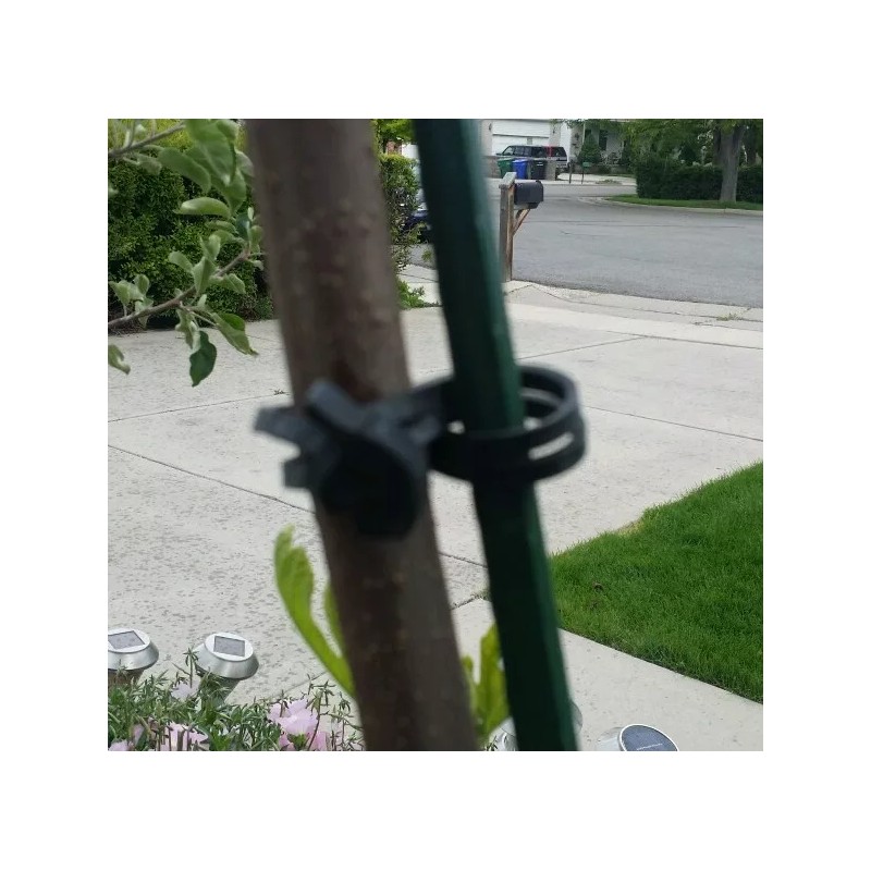 Tree-Fix Plant Support Rubber Bands Trellis Vine Clips Garden Vegetable