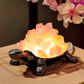 Runyangshi Natural Rose Quartz Turtle Night Lamp Healing Crystal Bedroom Bedside Table Lamp USB Port Home Decor Women Men Gift