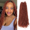 The BOHOBABE Crochet Passion Twist Hair Pretwisted 20 Inch Long