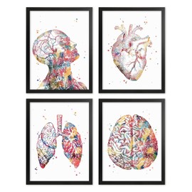 Human Anatomy Print Set Human Head Torso Wall Art Heart Artworks Lungs Wall Decor Brain Doctor Office Decor Medical Art Nurse Room Decor Great Gift for Doctors