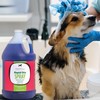 Groomer Essentials Rapid Dry Spray - Fast Drying and Conditioning