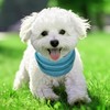 Cooling Collar for Dogs, Dog Bandanas Cooling, Dog Collar, Cooling