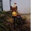 Huazzzyi Outdoor Solar Lights, Eagle Solar Lights Outdoor Waterproof Eagle