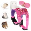 Wontee Small Pet Harness Vest and Leash Set with Bowknot