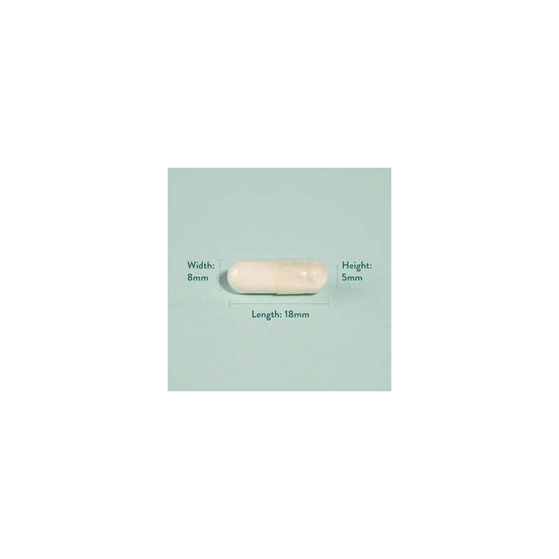 Holland & Barrett Live Friendly Bacteria 20 Billion 60 Capsules