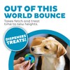 Outward Hound by Planet Dog Orbee-Tuff Planet Ball Blue/Green Treat-Dispensing