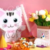 Cat Pinata Cat Birthday Party Supplies Kitty Cat Pinatas with