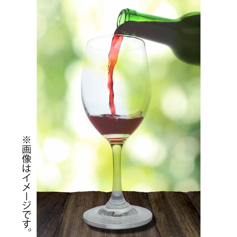 SENYON Food Sample Grapes Fruit Display Model Set of 3