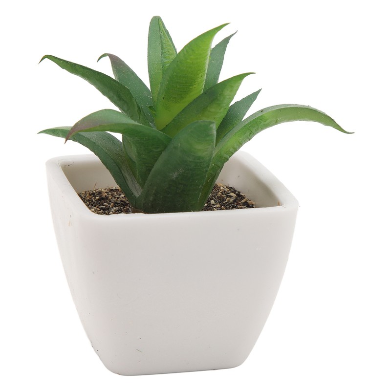 6PCS Potted Artificial Succulents Artificial Plants in Pots Plastic Fake