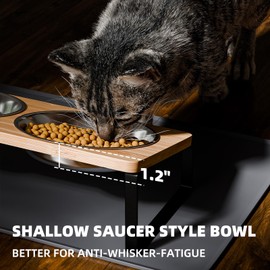 Elevated Whisker Friendly Cat Bowls, 15 Tilted Stand Anti Vomiting Raised Dishes for Food and Water, Stainless Steel Bowls for Cats and Puppy
