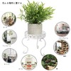 Sumnacon Pot Stand, Pot Stand, Flower Rack, Iron, Antique, Stylish,